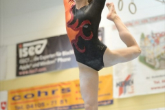 djm_turnen_2012_4_20120615_1531711898