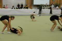 internationaler_tug-pokal_2010_20101206_1307618679