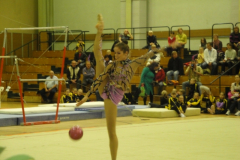 internationaler_tug-pokal_2010_20101206_1719366745