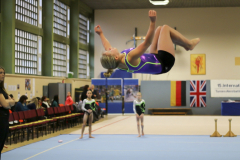 Internationaler TuG-Pokal 2014