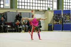 IMG_1585_1