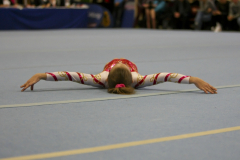 IMG_2464_1