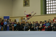 IMG_2556_1