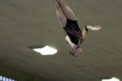 IMG_3177_1