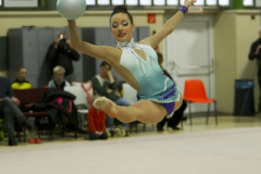 IMG_4459_1
