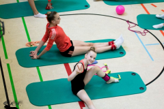 Landesjugendspiele, Rhythmische Sportgymnastik, 2017