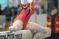 leverkusen-cup_2011_1_20111125_1737309800