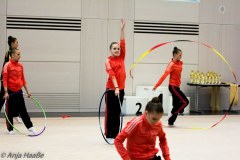 Liga Ost, Finale, Rhythmische Sportgymnastik, 2015
