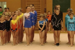 landesjugendspiele_rsg_2011_20110810_1885735897
