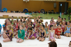 Petermännchen-Pokal, Rhythmische Sportgymnastik, 2014