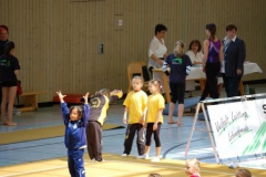 sachsenmeisterschaften_turnen_2011_20110517_1460074374