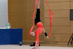 Sächsische Meisterschaften Rhythmische Sportgymnastik 2017