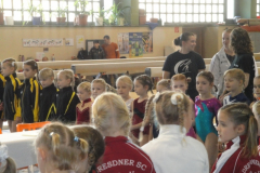 Sächsischer Turntalentpokal, Turnen, 2010