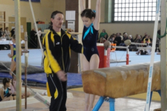 saechsischer_turntalentepokal_2010_20101206_1027420515