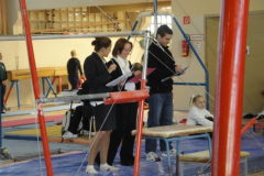 saechsischer_turntalentepokal_2010_20101206_1094247635