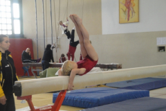 saechsischer_turntalentepokal_2010_20101206_1178520869