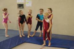 saechsischer_turntalentepokal_2010_20101206_1179196041