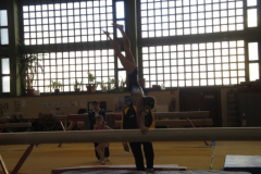 saechsischer_turntalentepokal_2010_20101206_1287084299