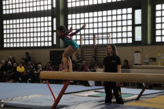 saechsischer_turntalentepokal_2010_20101206_1289780352
