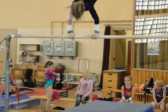 saechsischer_turntalentepokal_2010_20101206_1326384839