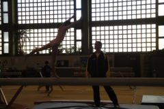 saechsischer_turntalentepokal_2010_20101206_1327291225