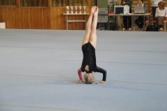 saechsischer_turntalentepokal_2010_20101206_1344612431