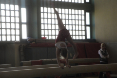 saechsischer_turntalentepokal_2010_20101206_1380165198