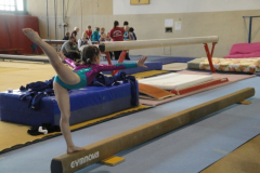 saechsischer_turntalentepokal_2010_20101206_1462621707