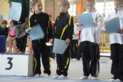 saechsischer_turntalentepokal_2010_20101206_1468669338