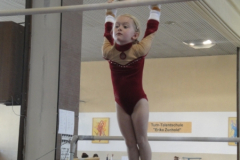 saechsischer_turntalentepokal_2010_20101206_1562090218