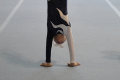 saechsischer_turntalentepokal_2010_20101206_1820913960