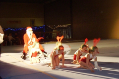 weihnachtsschauturnen_2009_20101206_1921528822