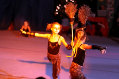 die_show_der_stars_20101231_1001329959