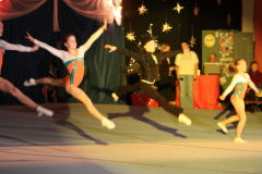 die_show_der_stars_20101231_1238826401