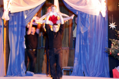 die_show_der_stars_20101231_1949797679