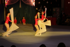 die_show_der_stars_20101231_2080540189