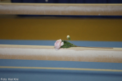 2015-12-19-14_00-Backstage-IMG_0453
