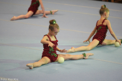 2015-12-19-14_00-IMG_2091
