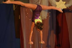 2015-12-19-14_00-IMG_2243