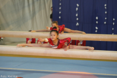 2015-12-19-14_00-IMG_2684