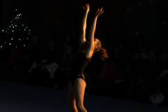 2015-12-19-14_00-IMG_7106