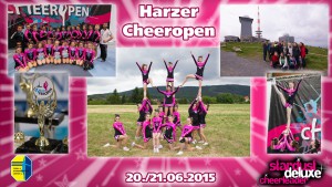 cheers-collage-2015-05