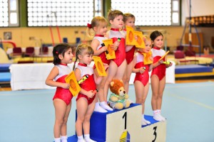 dk_2015-11-22_Stadtpokal_245